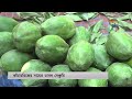 কাঁচা মরিচের কেজি ২০০ টাকা bazar price deepto news