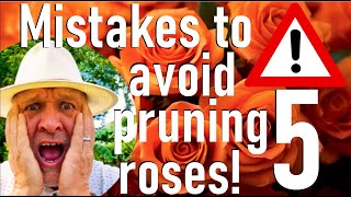 Five Mistakes to Avoid Pruning Roses