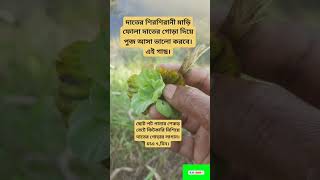 #trendingshorts #shortvideo #vairalvedo #এরকম ভিডিও পেতে চেনেলটি সাবস্ক্রাইব করুন ধন্যবাদ ❤️❤️❤️❤️❤️