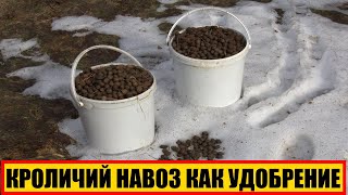 КРОЛИЧИЙ НАВОЗ КАК УДОБРЕНИЕ | КРОЛИЧИЙ ПЕРЕГНОЙ | КРОЛИЧИЙ НАВОЗ | УДОБРЕНИЕ ЗЕМЛИ КРОЛИЧИЙ НАВОЗОМ