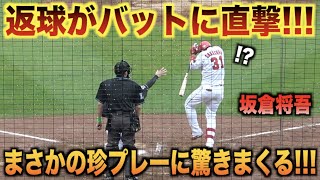 超珍プレーwww伏見寅威の返球がバットに直撃しビックリする坂倉将吾がおもしろいwww