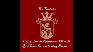 Day 44 - Insulin Resistance is Often the Root Cause Chronic Kidney Disease