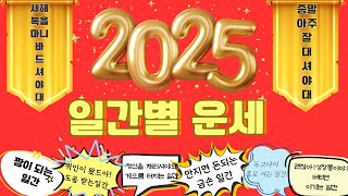 2025년 을사년 일간별 운세