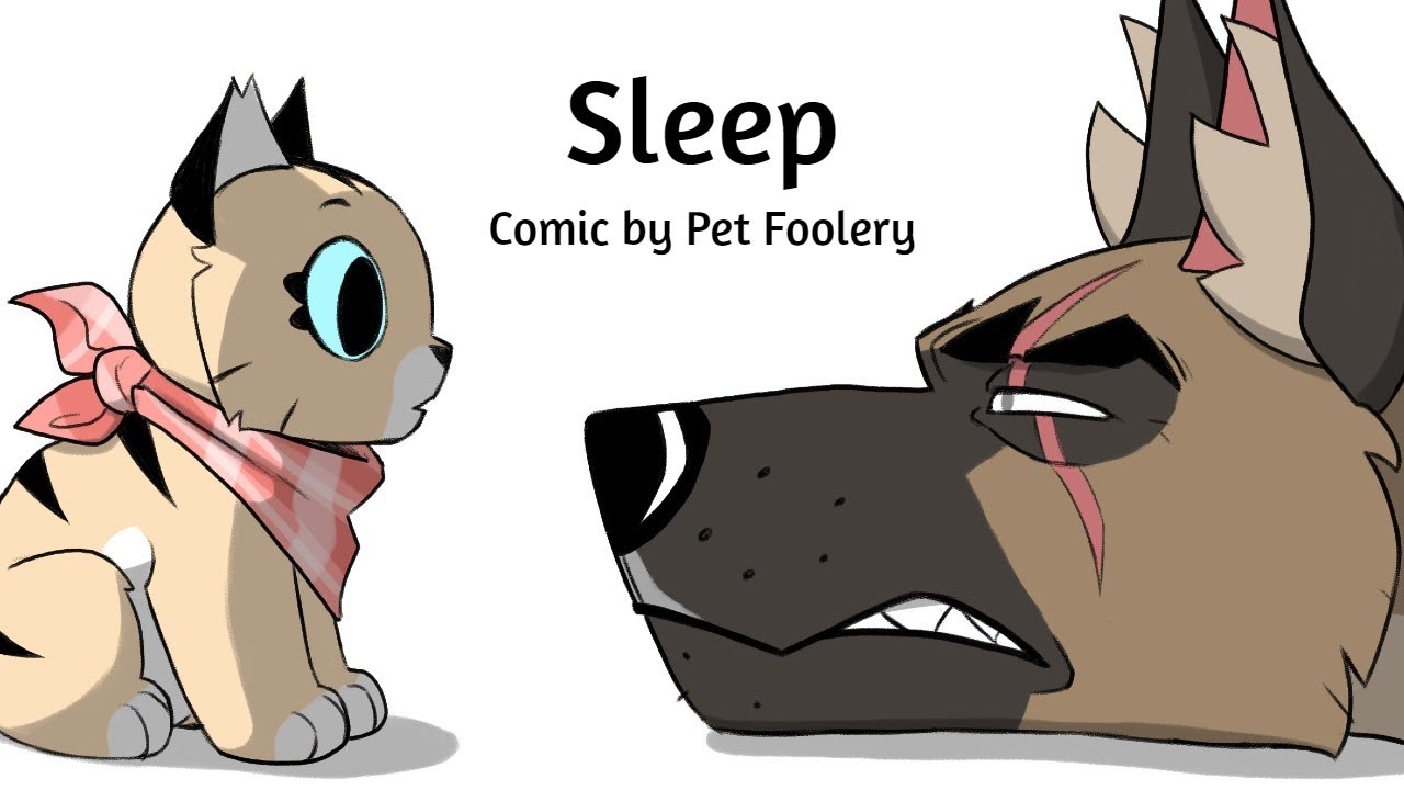 Sleep Pixie Brutus Youtube