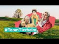 #TeamTierheim – Wir können nicht alle retten, aber wir retten die Welt eines Tieres | Folge 1 | MDR