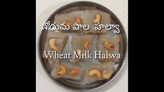 WHEAT MILK HALWA || గోధుమ పాల హల్వా || SIRIS FOOD GALLERY||