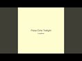 Pulse Echo Twilight