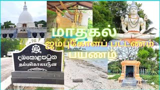 ஜம்புகோளப்பட்டணம் | மாதகல் |  Mathagal | Travel Vlog | Natural sounds