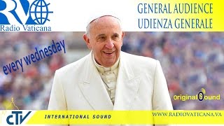 Pope Francis General Audience 2015.06.17