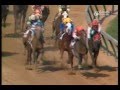 1987 Kentucky Derby - Alysheba