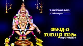 അയ്യപ്പ സന്ധ്യാനാമം | Ayyappa  Sandhyanamam | Hindu Ayyappa Devotional Songs Malayalam