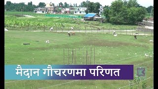 फाप्ला मैदान गौचरणमा परिणत ।