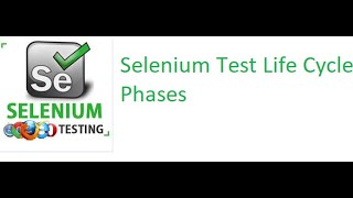 Selenium Class 3: Selenium Test Process