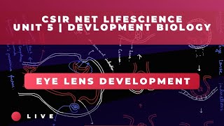 Eye development | development biology | #csirnet #lifescience