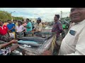 chennai kasimedu fish market💥 மீன் ஏலம் kasimedu fish market price kasimedu fish