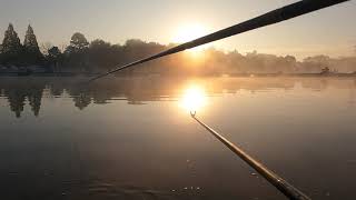 Fishing.  Japanese traditional style 　at  Noda Satte Garden 野田幸手園　ヘラブナ釣り