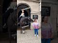 ORMONDE’S Massive Blow: She’s Lucky to Walk Away! Epic Moments Horse Guards