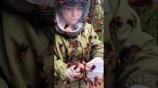 A girl who is incredibly skilled at catching bees