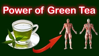 Unlocking the Power of Green Tea: 7 Health Benefits and How to Drink it for Maximum Impact