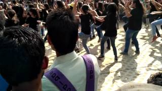 Flash Mob !! @ Jamia university!!!