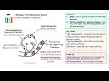 The Respiratory System [IB Biology SL/HL]