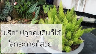 ทำความรู้จัก \