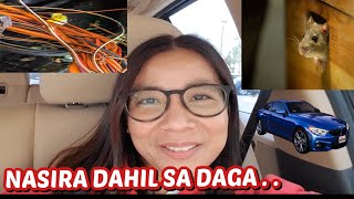 MAY NASIRA DAHIL SA DAGA! NAAYOS NA SYA! GROCERY HAUL UILIT?!