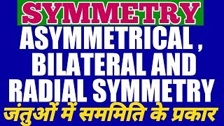 WHAT IS SYMMETRY AND ITS TYPES IN ANIMALS ? ANIMAL SYMMETRY - ASYMMETRY, RADIAL AND BILATERAL |