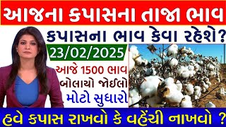 Kapas na bhav | 23-02-2025 | કપાસના ભાવ:2025 | Information about cotton crop price | Commodity Trend