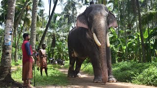 |ചുള്ളിപറമ്പിൽ വിഷ്ണുശങ്കർ ഫോട്ടോഷൂട്ട്|Chulliparambil Vishnushangar Photoshoot|