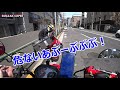 【ハンターカブct125とクロスカブcc110】カブ２台で都内の桜めぐり～クロスカブでuターンの応酬！