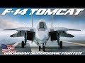 F14 Tomcat | The Original Top Gun. Grumman's carrier-capable supersonic fighter aircraft | Upscaled