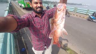 .. ഇവൻ എത്ര..Kg.. വരും..?!.. മഴ പെയ്താൽ മീൻ ഗ്യാരണ്ടി..!!.. Simple hook fishing.