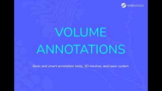 Tutorial on volume annotations with WEBKNOSSOS