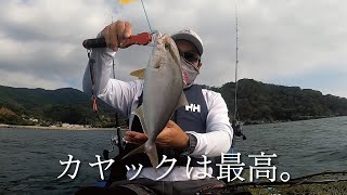 秋のカヤックフィッシング！今回はカヤックからのSLJ！！とにかく魚が釣れるカヤックフィッシングの世界をご覧ください！！！