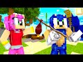 Minecraft - Sonic The Hedgehog 2 -Sonic Is EXILED By His Friends! [82]