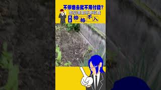 不停進去就不用付錢?南投埔里停車收費 民眾格格不入｜TVBS新聞 #shorts @TVBSNEWS02