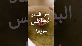 ليه البطاطس بتف سد بسرعة حتي في الشتاء #صحة #صحه #صحي #معلومات #تغذية #غذاؤك_دواؤك #غذا