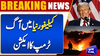 Los Angeles | Fire in California | Donald Trump Action | Breaking | Dunya News