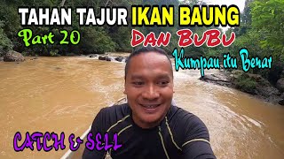 Tahan Tajur Ikan Baung (Part 20)