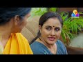 uppum mulakum 2│flowers│ep 172