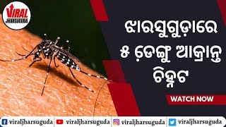 ଝାରସୁଗୁଡ଼ାରେ ୫ ଡେ଼ଙ୍ଗୁ ଆକ୍ରାନ୍ତ ଚିହ୍ନଟ