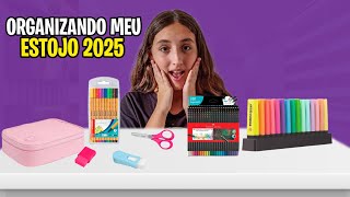 ORGANIZANDO O MEU ESTOJO PARA 2025 *tem bastante coisa!