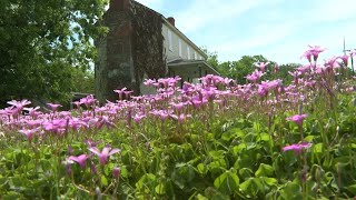 This historic building in Hopewell's Black community is coming back to life