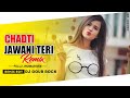 Chadti Jawani Teri Chal Mastani Love Remix By DjGour Rock