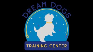 MHKA Agility Trial at Dream Dogs Training Center