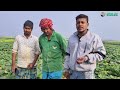 sweet pumpkin cultivation কুমড়ো গ্রাম ১০০০ বিঘা জমিতে কিভাবে কুমড়ো চাষ হচ্ছে @sharifulagrivlog