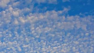 STRATUS CLOUDS|| Cotton Balls Looks Like!