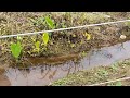 സോളാര്‍ വേലി ചിലവ് ചുരുക്കി ചെയ്യാം solar fencing