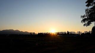 北海道大学の四季　平成ポプラ並木の夕暮れ／2021 初夏～宵の明星　【タイムラプス】